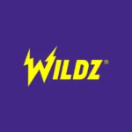 Wildz arvostelu
