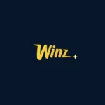 Winz arvostelu